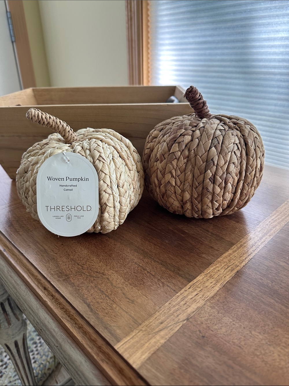 Set of 2 Threshold Natural Braided Woven Pumpkins - Tan and Cream Farmhouse Boho